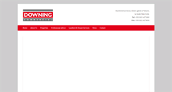 Desktop Screenshot of downing.ie